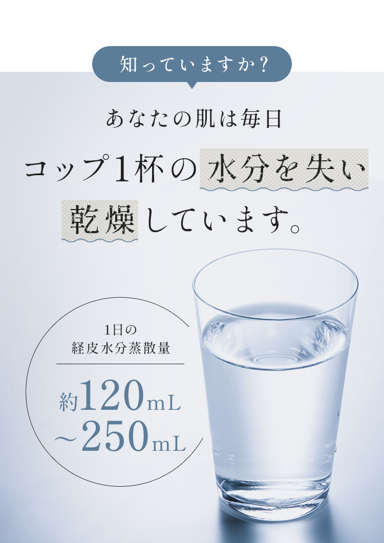 あなたの肌は毎日　コップ1杯の水分を失い感想しています。