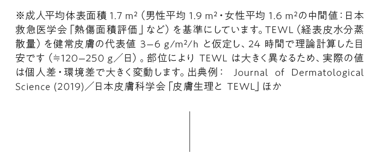 ※成人平均体表面積～