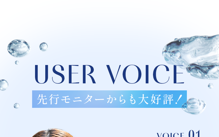 USER VOICE