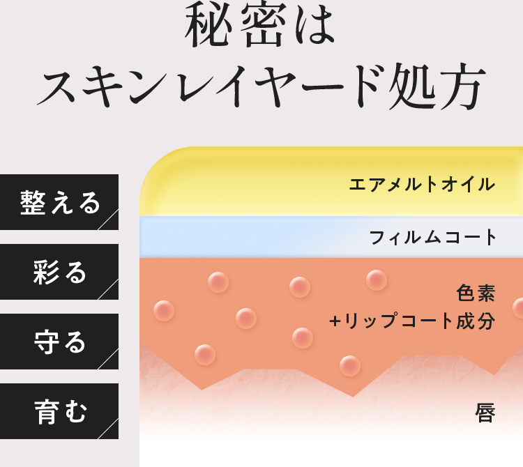 秘密はスキンレイヤード処方 整える 彩る 守る 育む エアメルトオイル フィルムコート 色素＋リップコート成分 唇