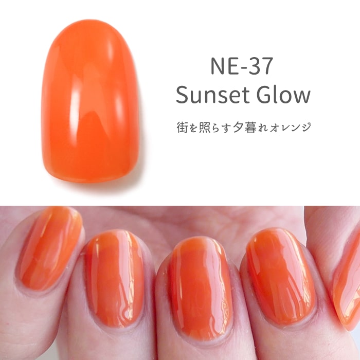 I ウィークリージェル NE-37, WG-26, WG-24 HOMEI ウィークリージェル NE-37, WG-26, WG-24