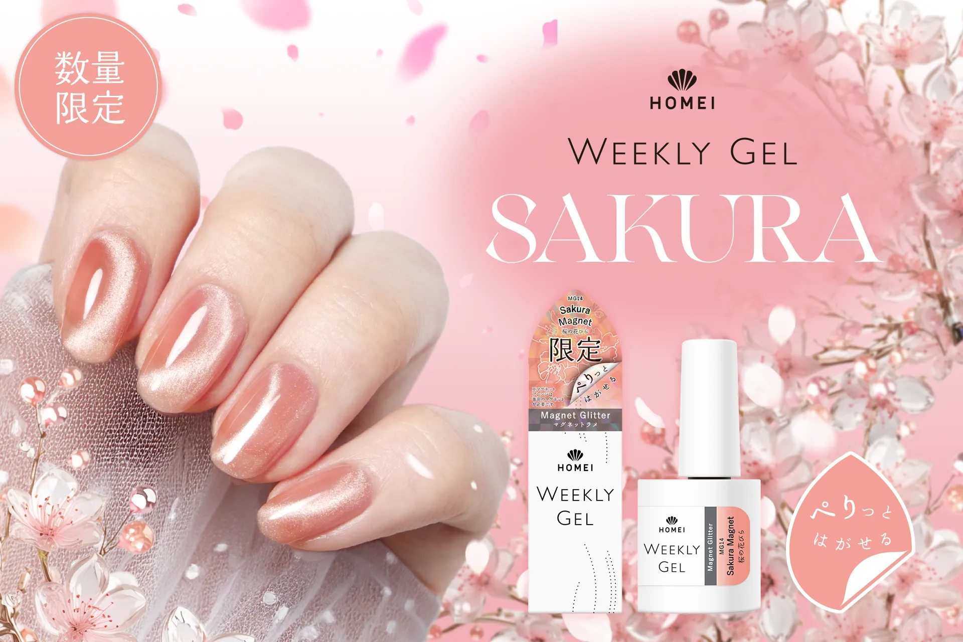 数量限定SAKURA Collection