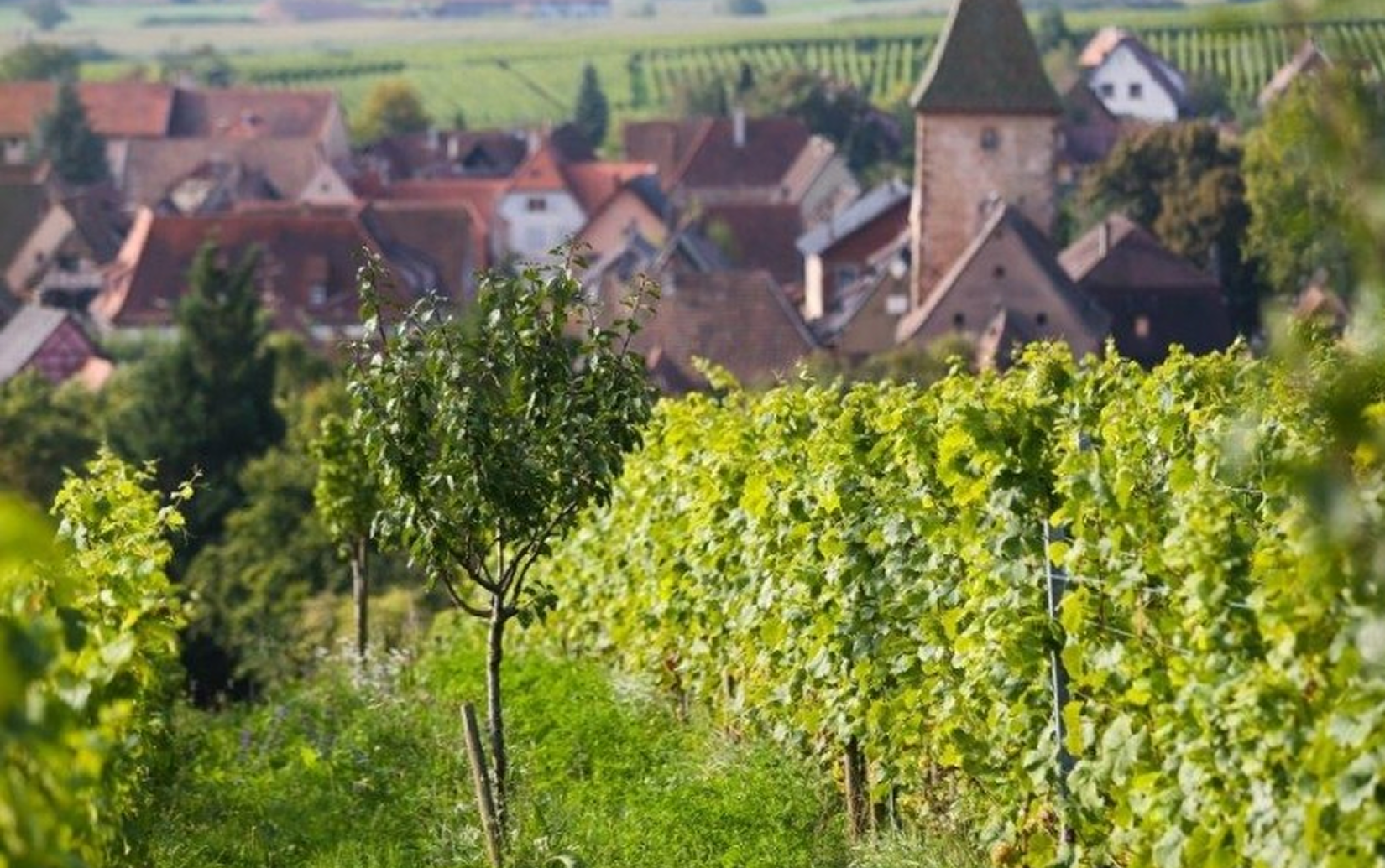 マルセル・ダイス ラルシュ