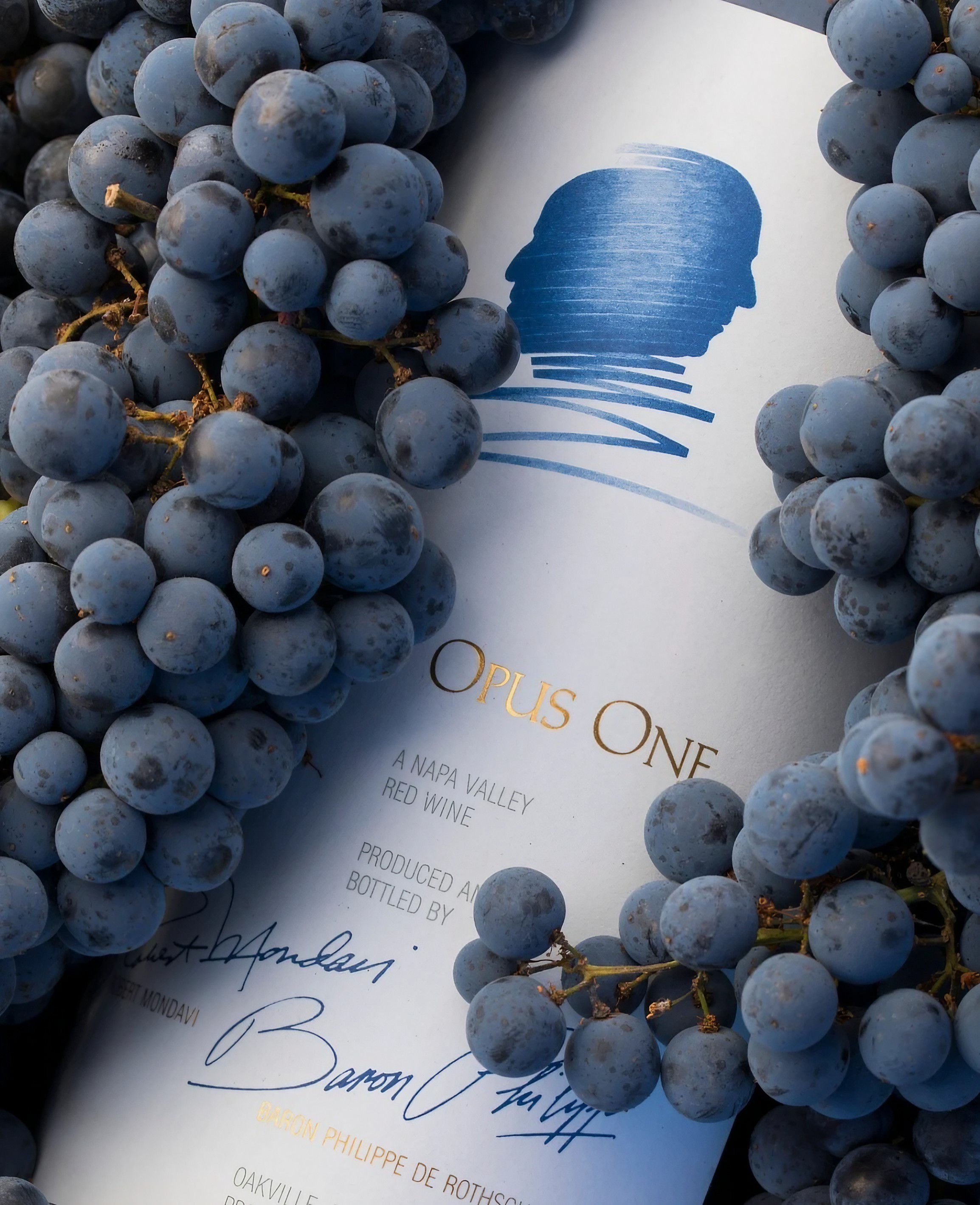 オーパスワン 2021