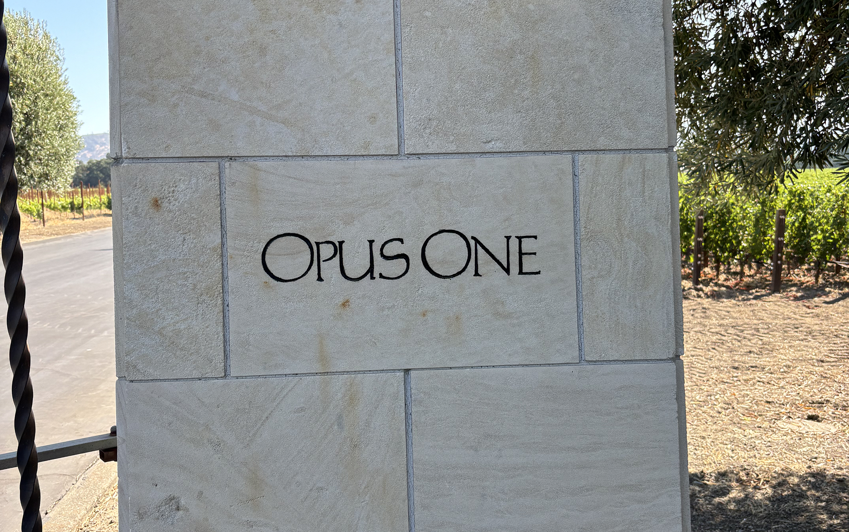 オーヴァチャー 2021