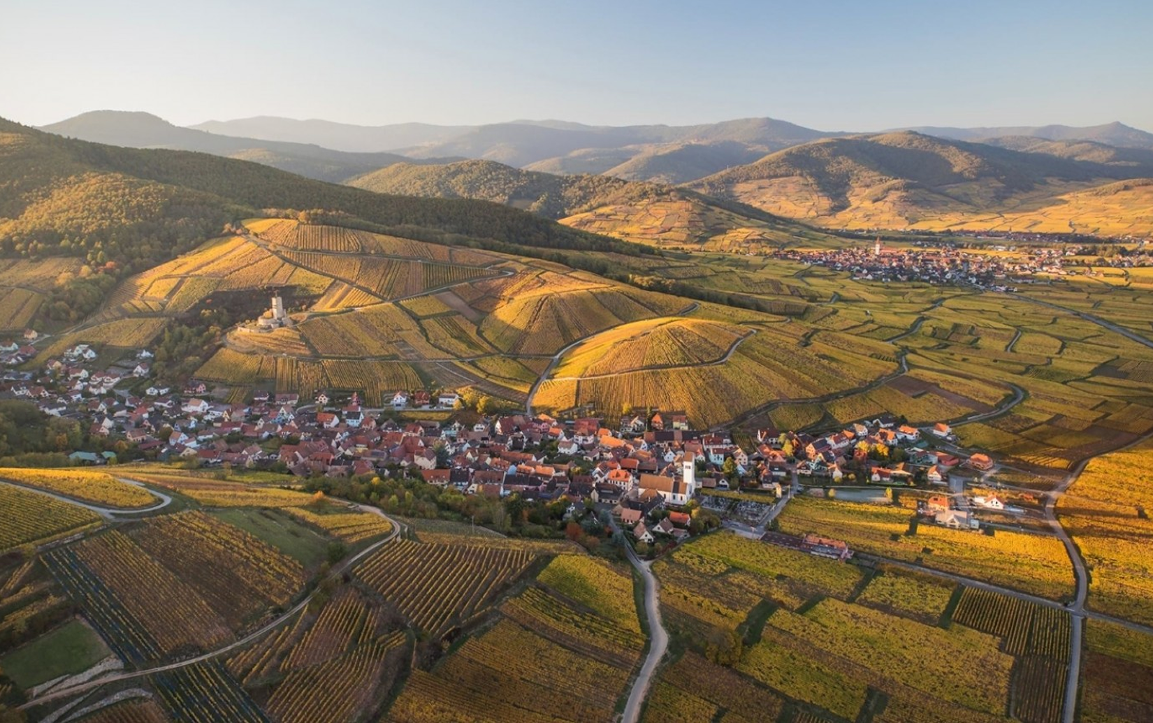 マルセル・ダイス ラルシュ