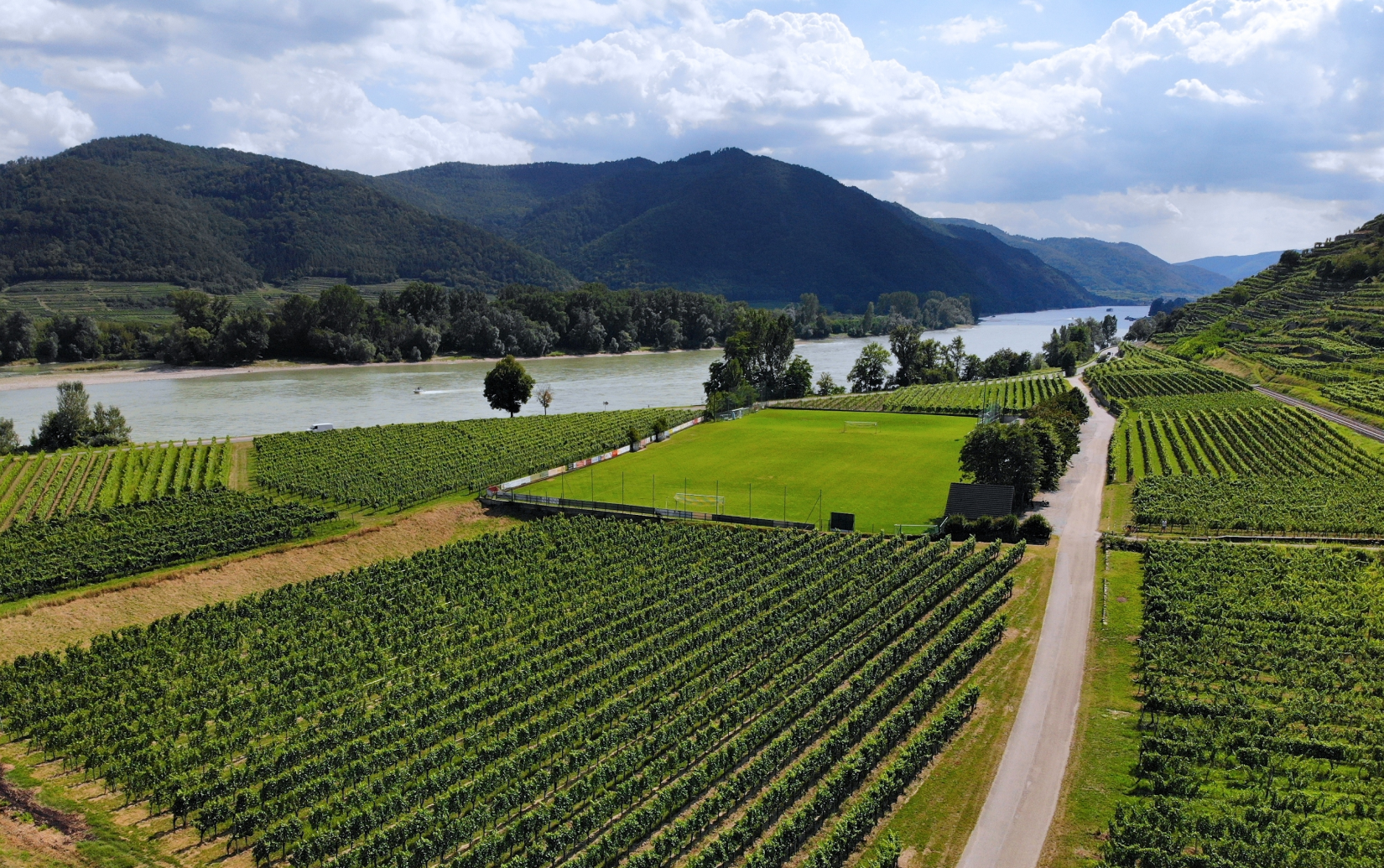 ピヒラー グリューナー・フェルトリーナー ロイベンベルグ