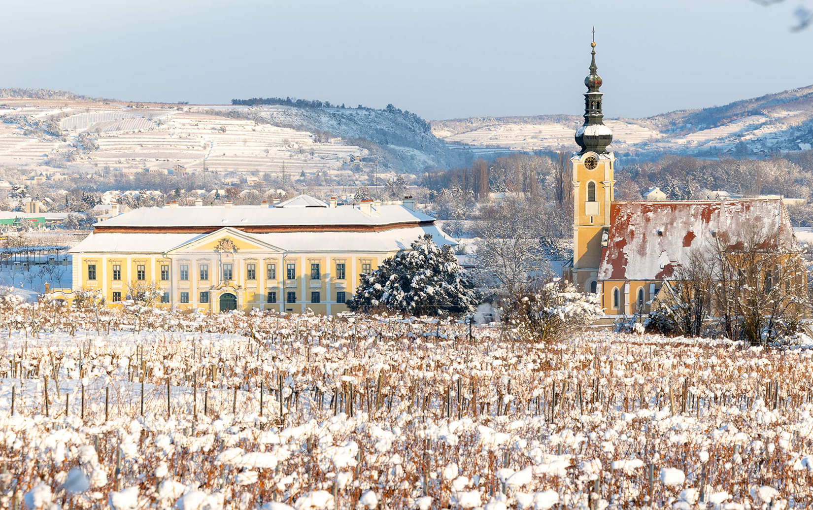 ノーザン・アイス ヴィダル アイスワイン