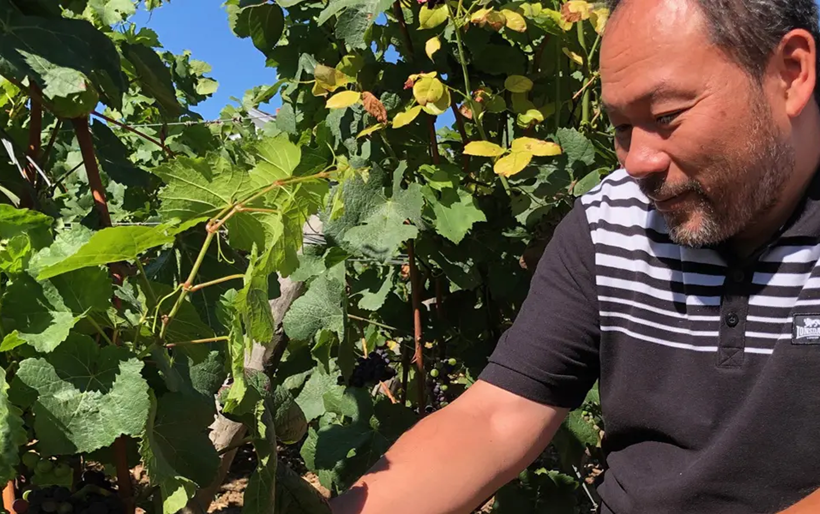 ルー・デュモン ジュヴレ・シャンベルタン2021