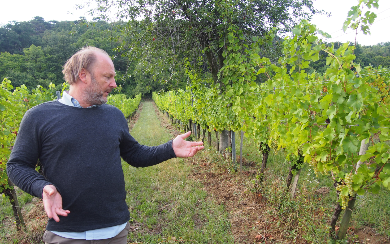 モリッツ ハウスマルケ スーパーナチュラル