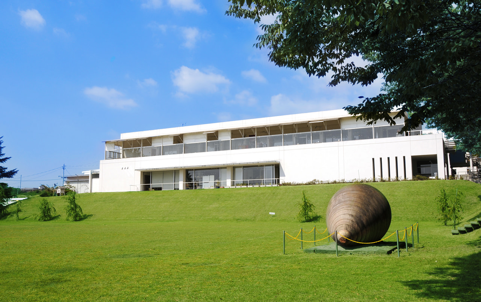 ソラリス 千曲川 ソーヴィニヨン・ブラン