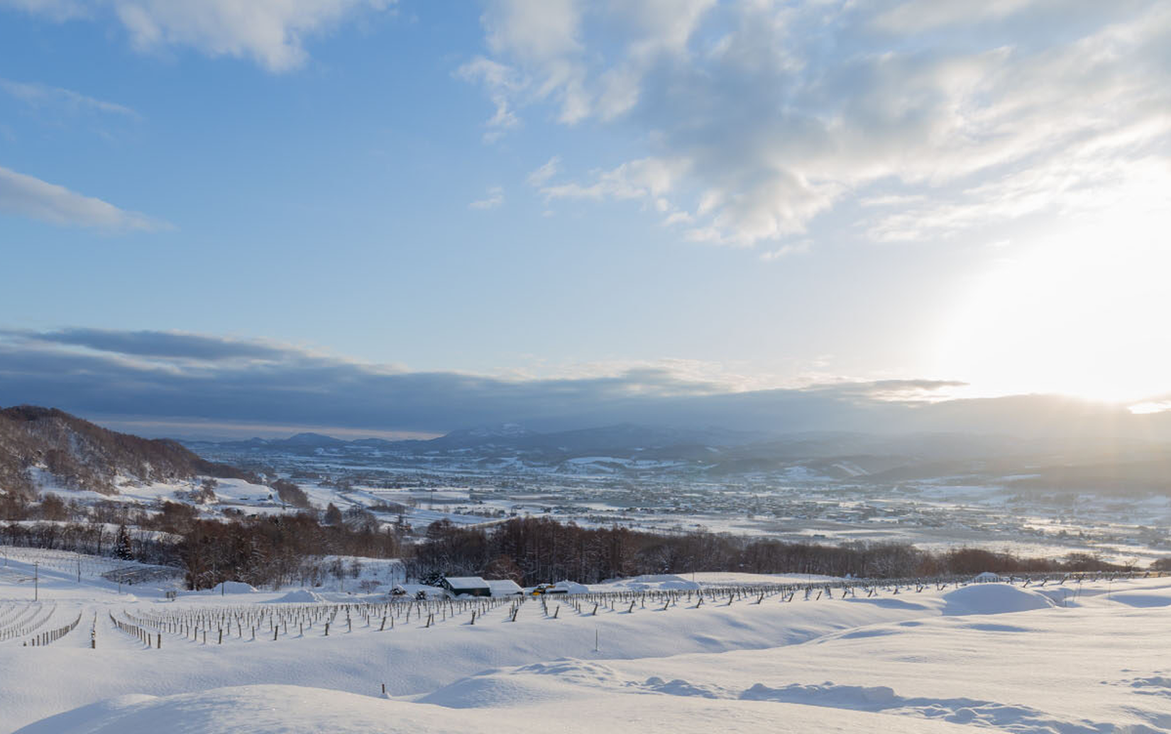 はつゆき LATE HARVEST BARREL 2021（half）