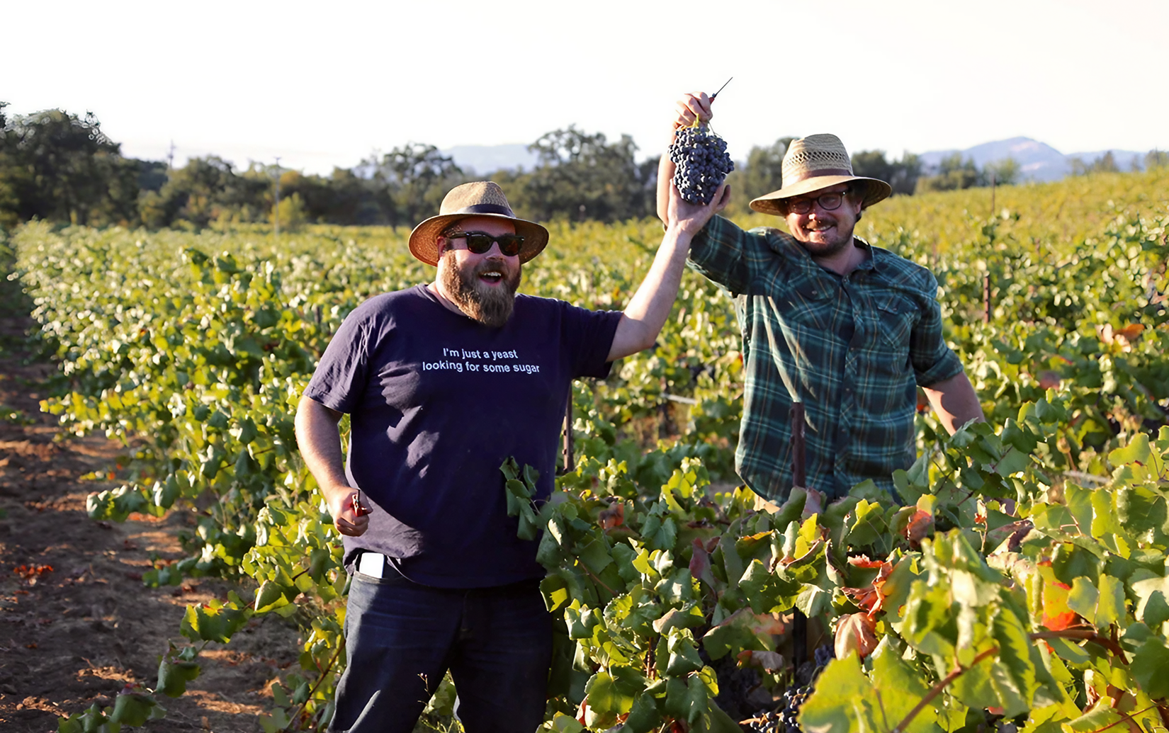 ベッドロック リースリング ワーツ・ヴィンヤード シエネガ・ヴァレー 2023