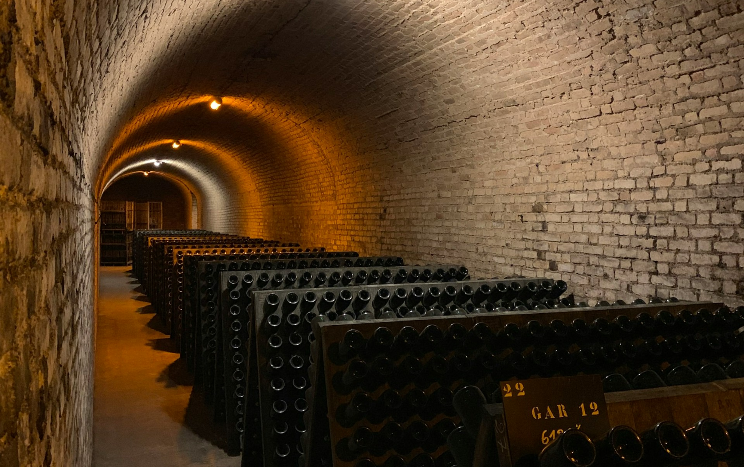 ボランジェ　ピー・エヌ エイ・ワイ・シー 18 NV 