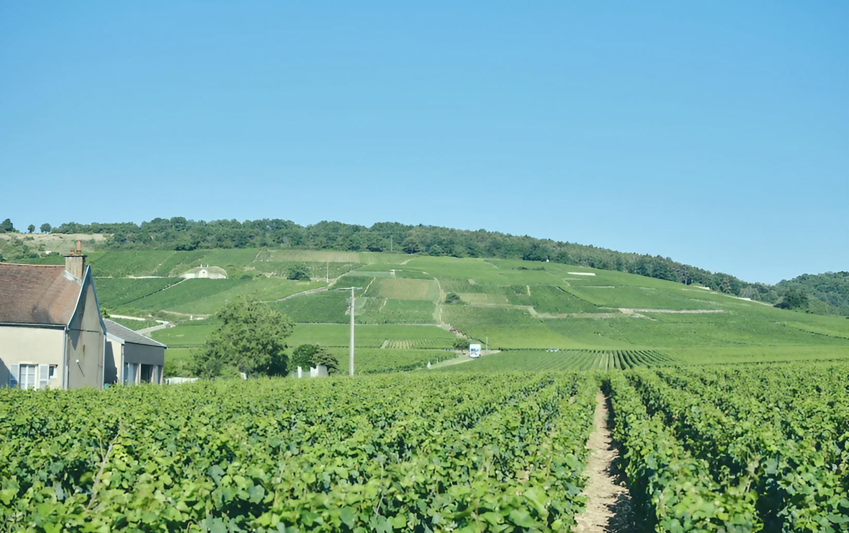 DRCリシュブール 2019