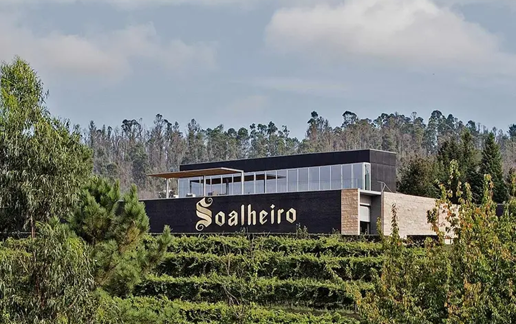 ソアリェイロ アルヴァリーニョ 