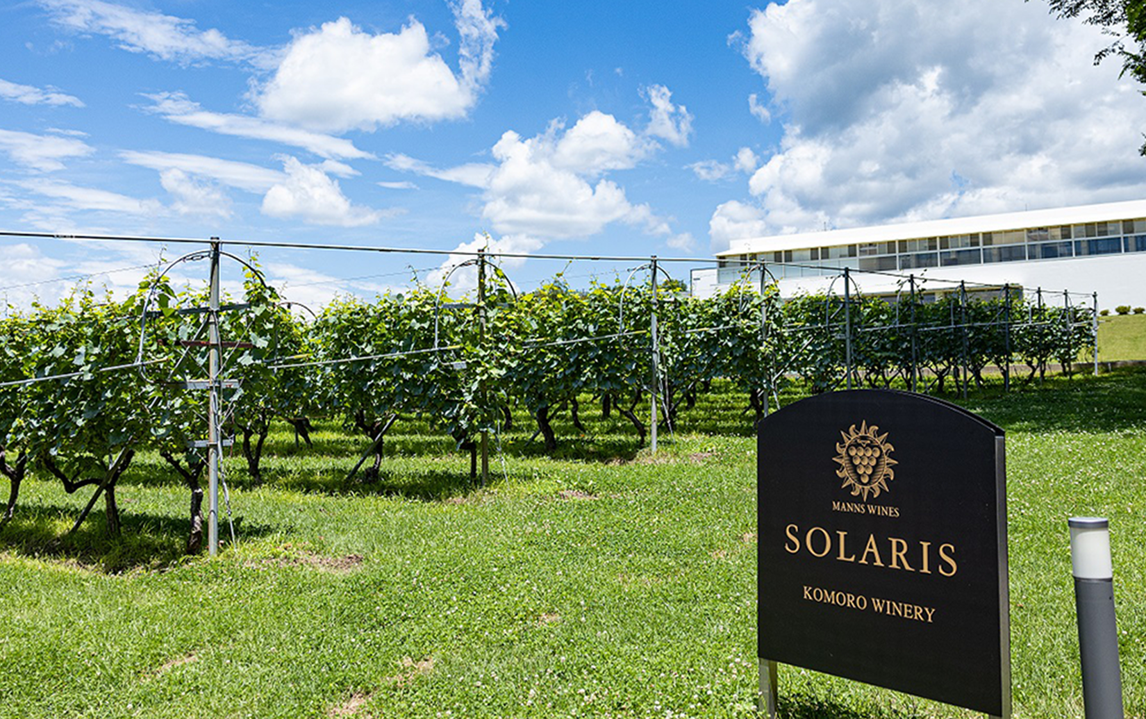 ソラリス マニフィカ 2018