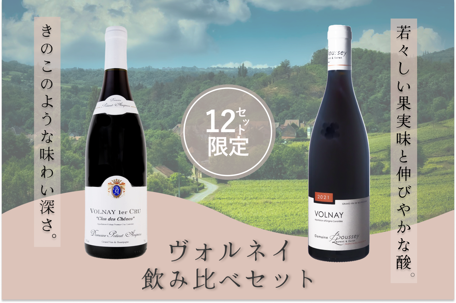 ヴォルネイ飲み比べセット