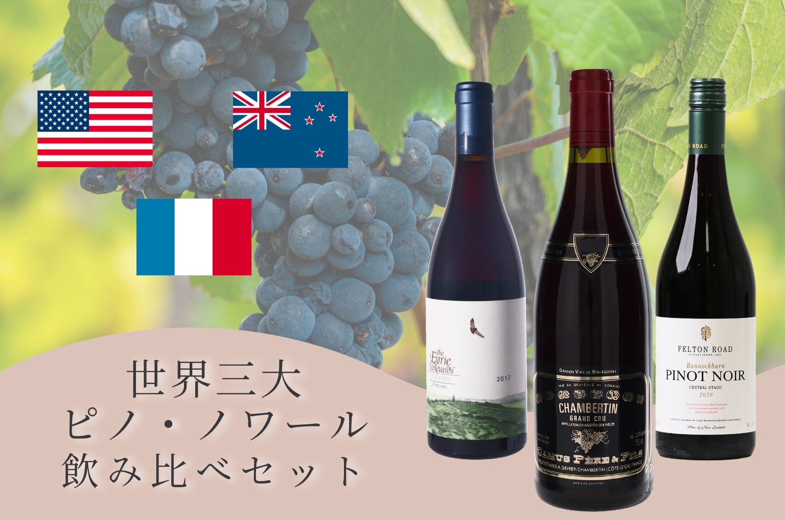世界三大ピノ・ノワール飲み比べセット