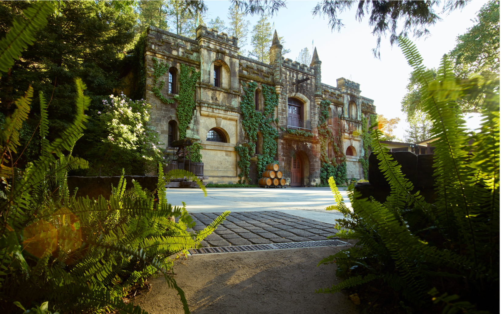 シャトー・モンテレーナ ポッター・ヴァレー リースリング