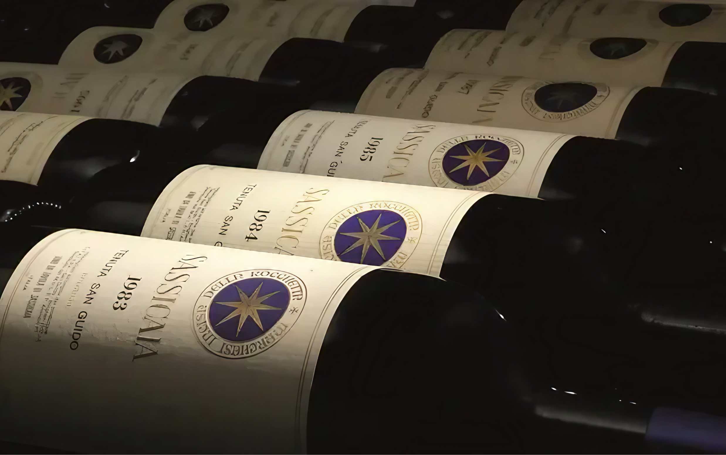 サッシカイア 2022