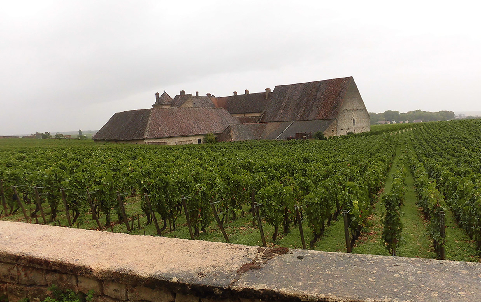 ドメーヌ・ブセイ・ローラン ヴォルネイ