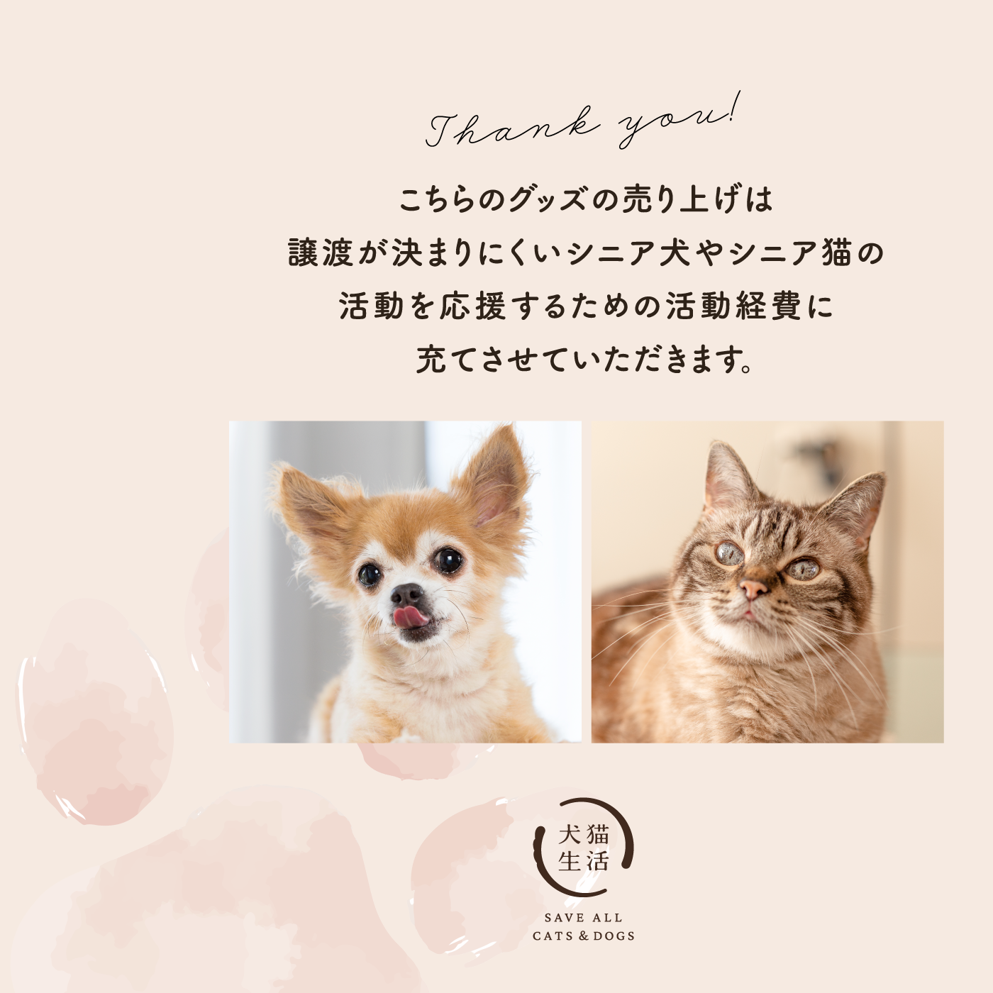 【予約販売終了】Lessons from Paws シニアわんにゃん応援チャリティーグッズ