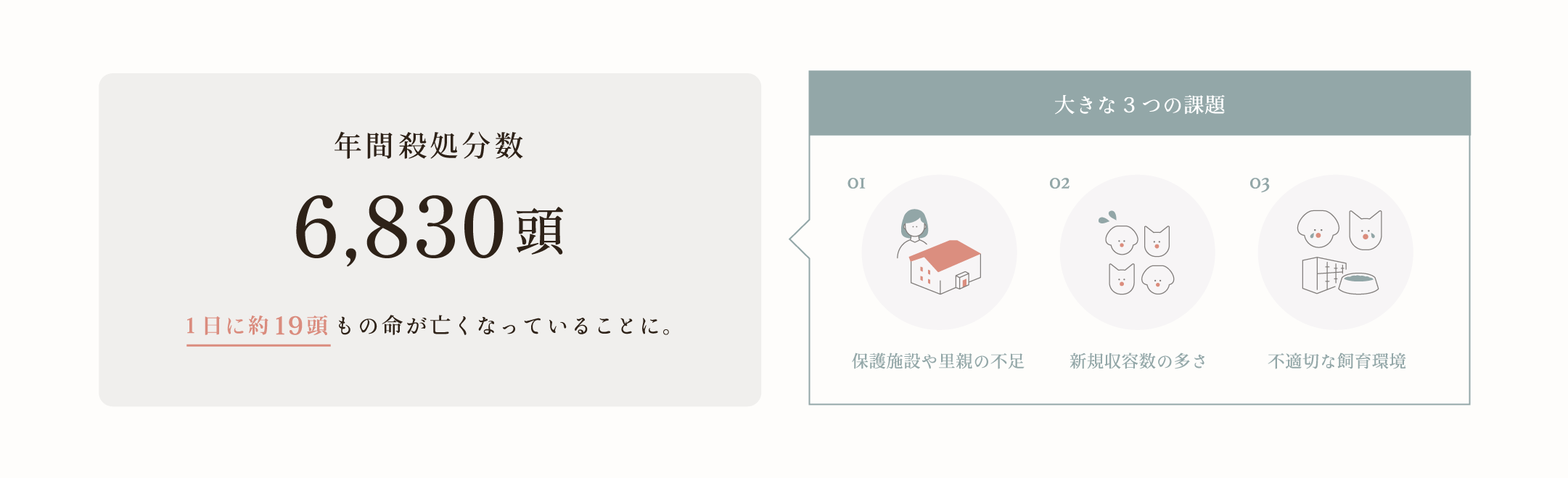 画像：年間殺処分数9017頭