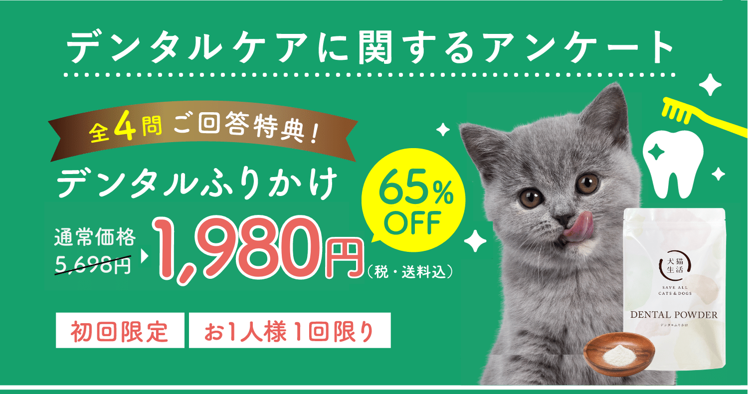 デンタルケアに関するアンケート ご回答特典！デンタルケアを初回限定980円（80%OFF）でご案内