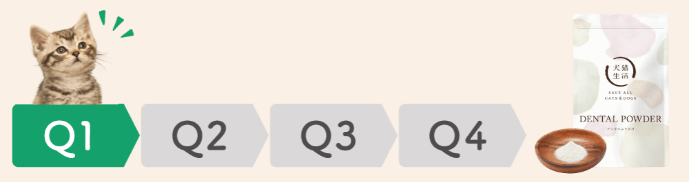 Q1