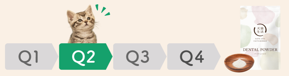 Q2