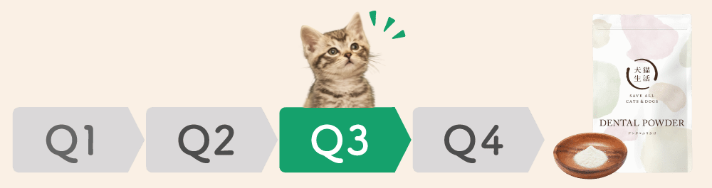 Q3