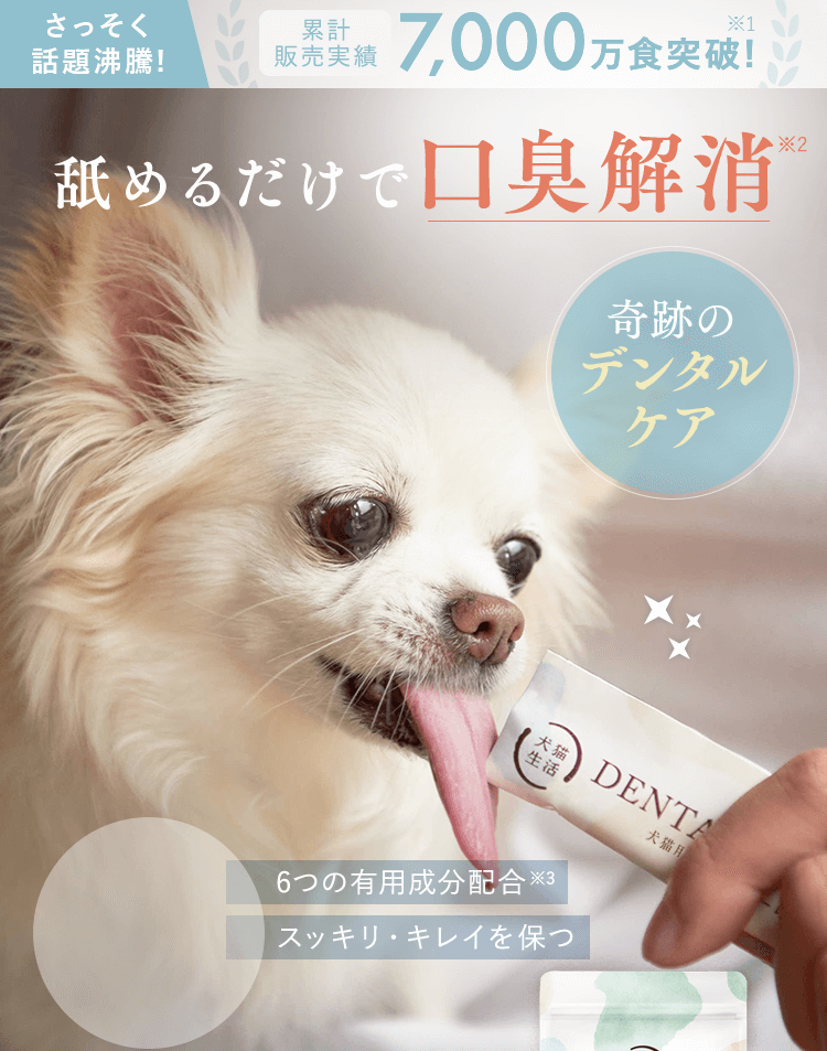 舐めるだけで口臭解消