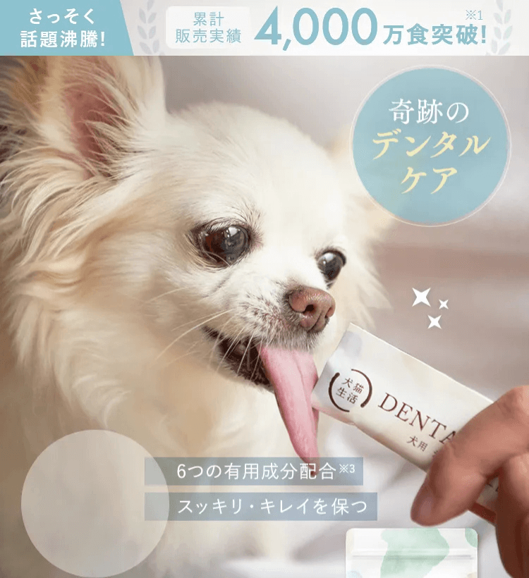 舐めるだけで口臭解消