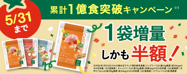ドックフードに関するアンケート ご回答特典！手作りごはんを初回限定980円（50%OFF）でご案内