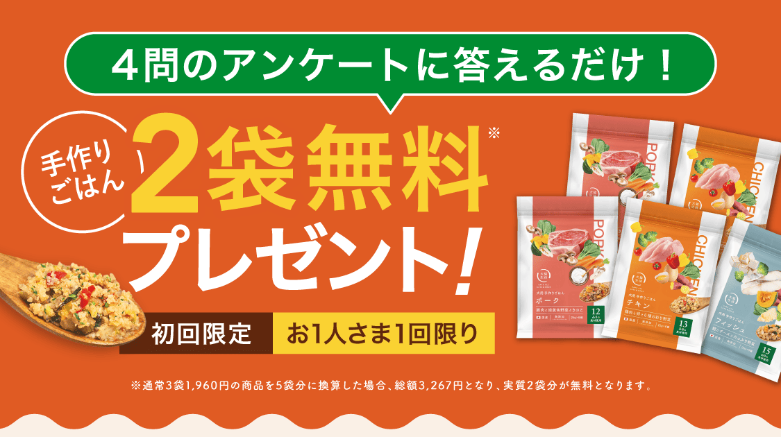 ドックフードに関するアンケート ご回答特典！手作りごはんを初回限定980円（50%OFF）でご案内