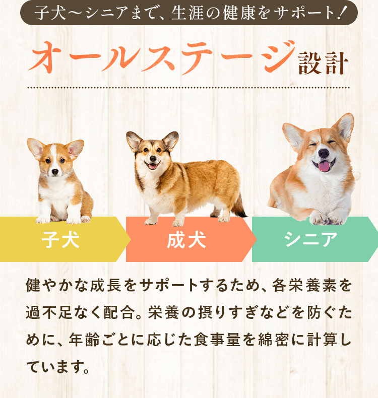 子猫〜シニアまで、生涯の健康をサポート!