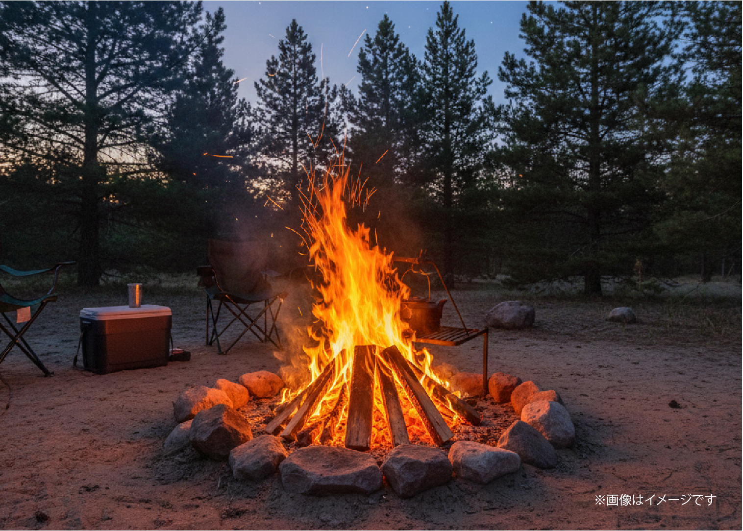 キャンプ用　薪　針葉樹　10kg入り