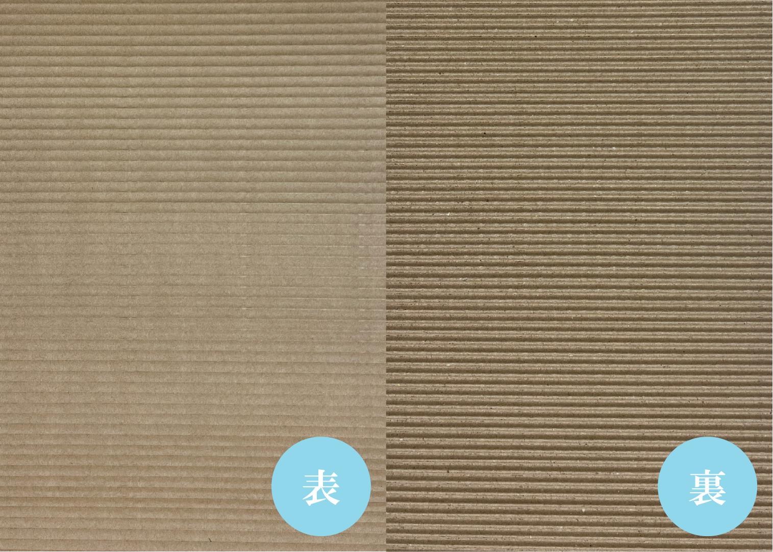 片面段ボールカット品