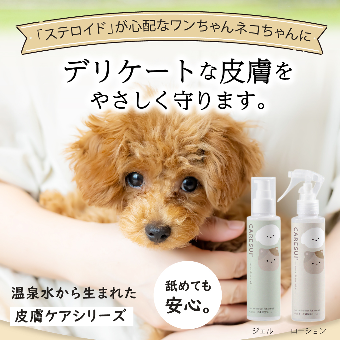 定期　CARESUI®　ローション詰め替え150mL　3セット /: 3袋