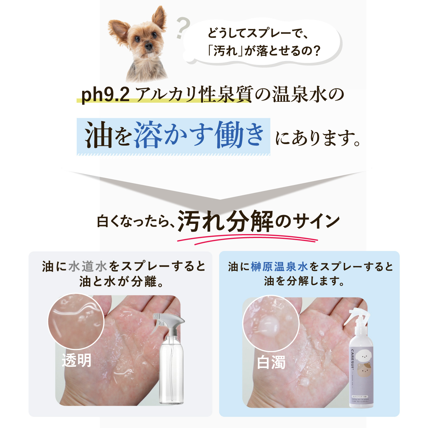 CARESUI®　グルーミングスプレー300mL /: 無香料1本