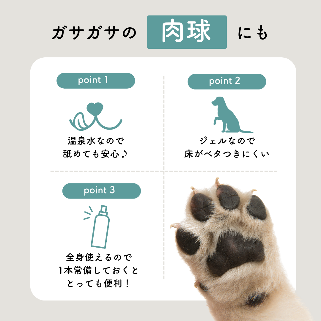 定期　-継続便-　CARESUI®　ローション詰め替え150mL　1セット /: 1袋