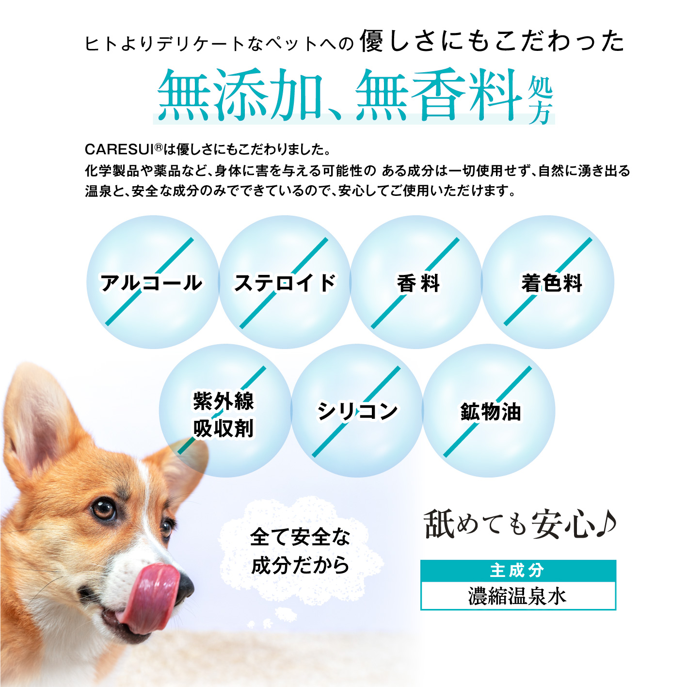 定期　CARESUI®　ローション150mL /: 1本