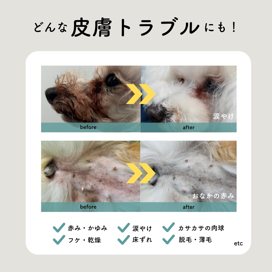 定期　-継続便-　CARESUI®　ローション詰め替え150mL　1セット /: 1袋
