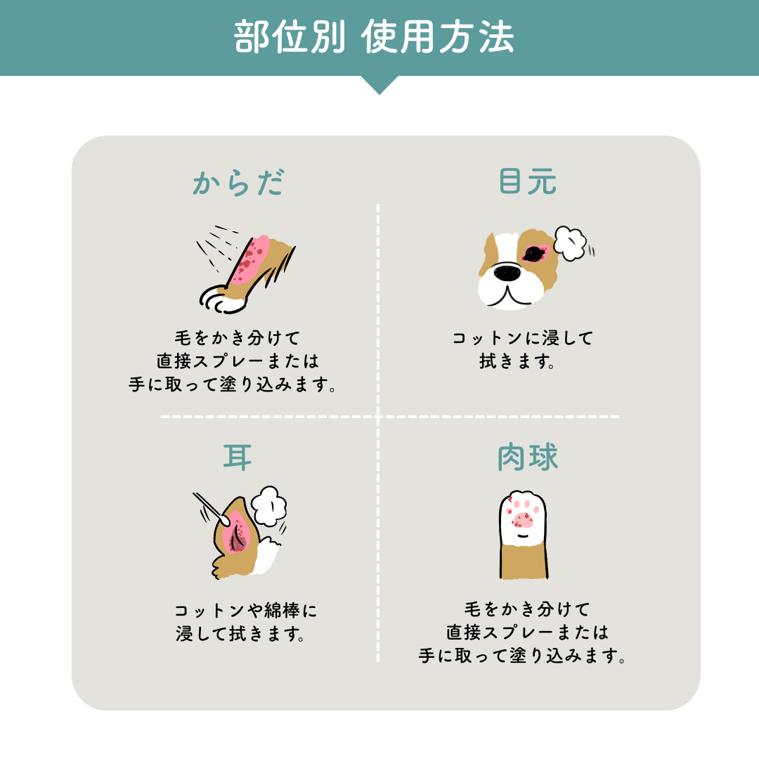定期　-継続便-　CARESUI®　ローション詰め替え150mL　1セット /: 1袋