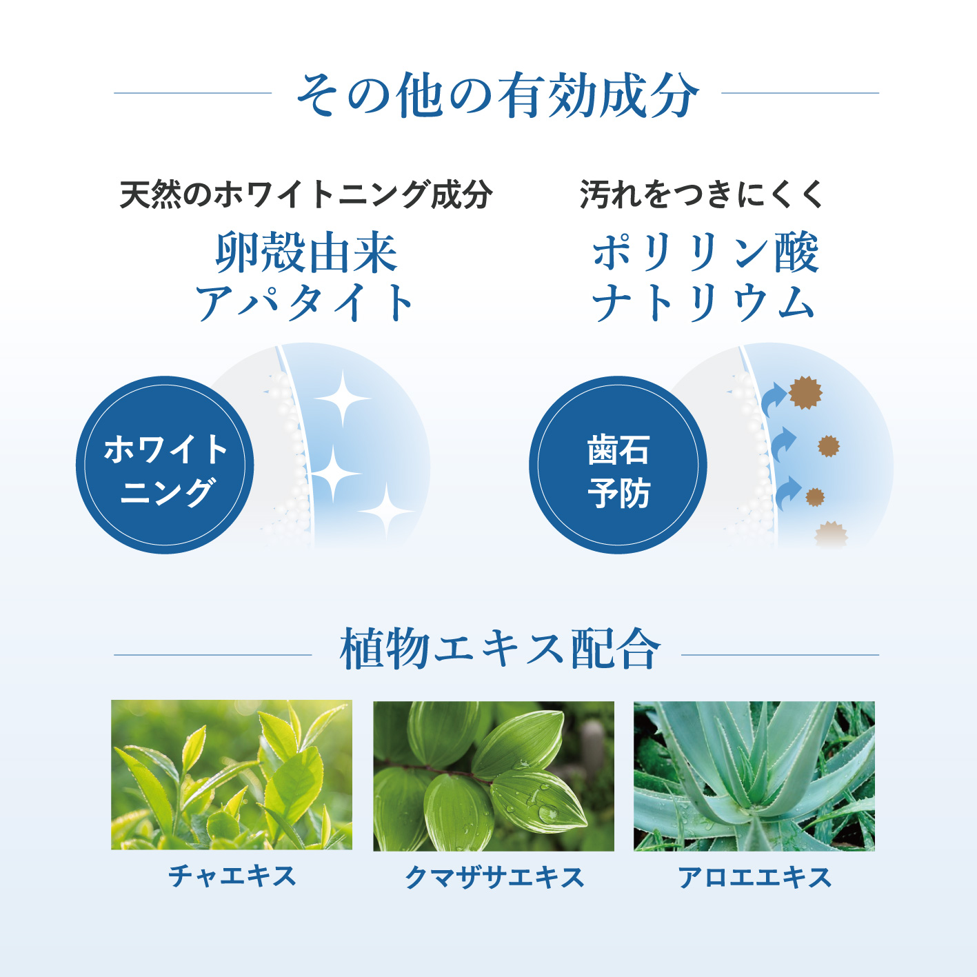 メディカルホワイトプロ　タッチペン /: 1本