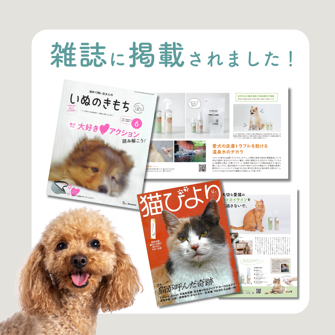 定期　-継続便-　CARESUI®　ローション詰め替え150mL　1セット /: 1袋