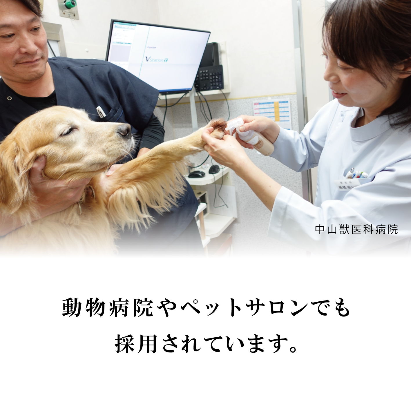 CARESUI®　ローション　詰め替え150mL /: 1袋