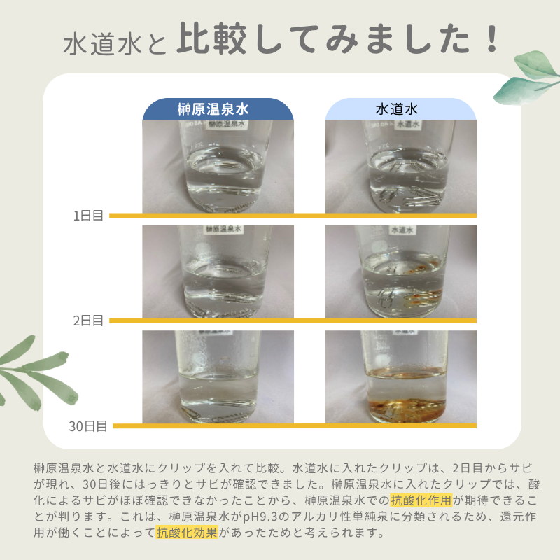 スパウォーター /: 1ケース（500mL×24本）
