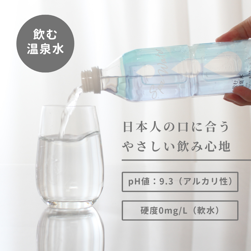 スパウォーター /: 1ケース（500mL×24本）